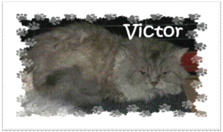 Victor1.jpg